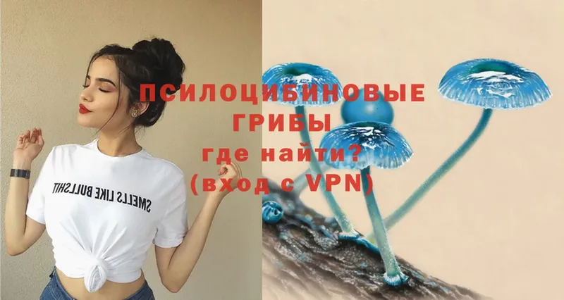 Псилоцибиновые грибы MAGIC MUSHROOMS  hydra ТОР  Козельск 